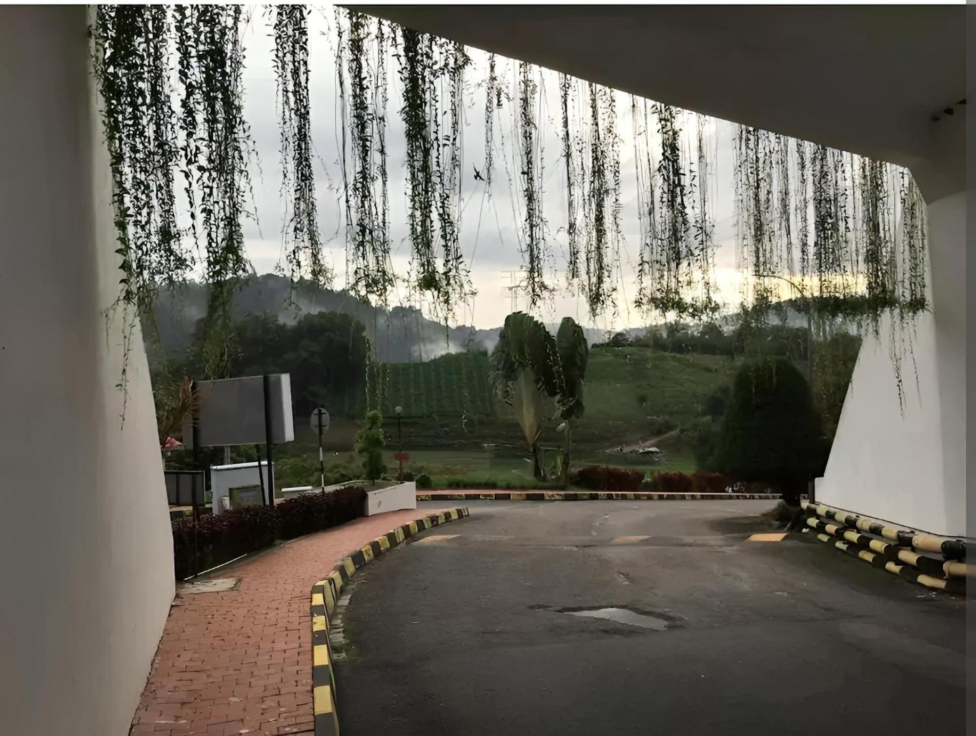 Bukit Tinggi Fuchsia Hillhomes Εξωτερικό φωτογραφία